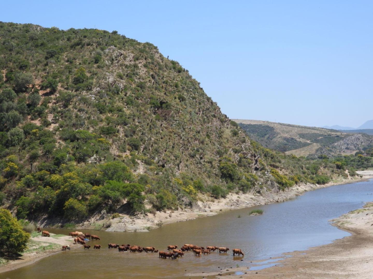 Gourits River Guest Farm Albertinia Екстериор снимка